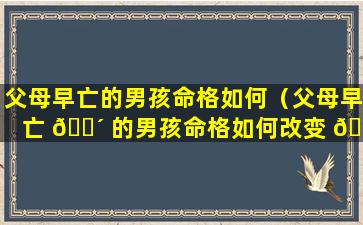 父母早亡的男孩命格如何（父母早亡 🌴 的男孩命格如何改变 🦍 ）